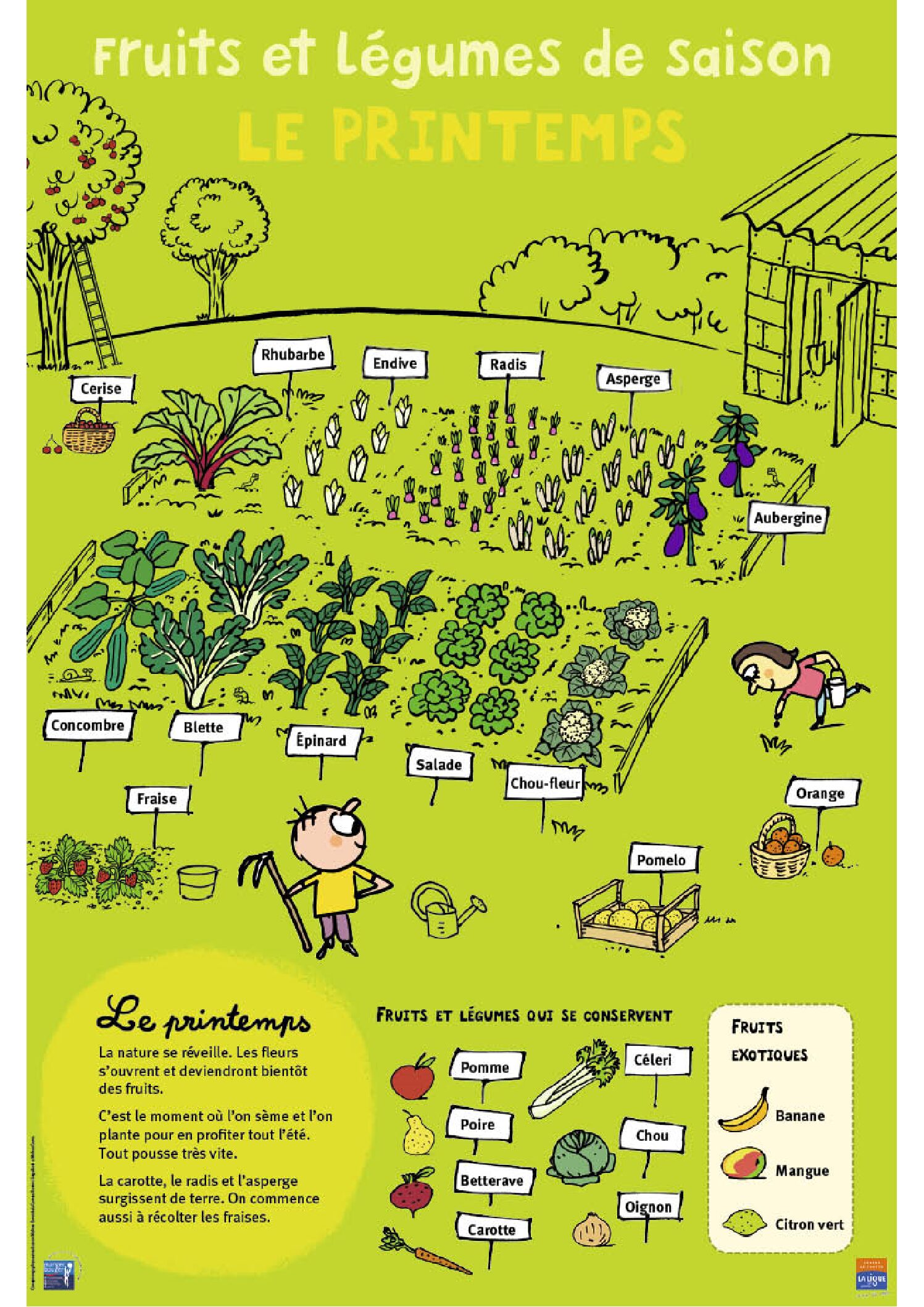 Affiches fruits et legumes de saison lutte contre le cancer pdf