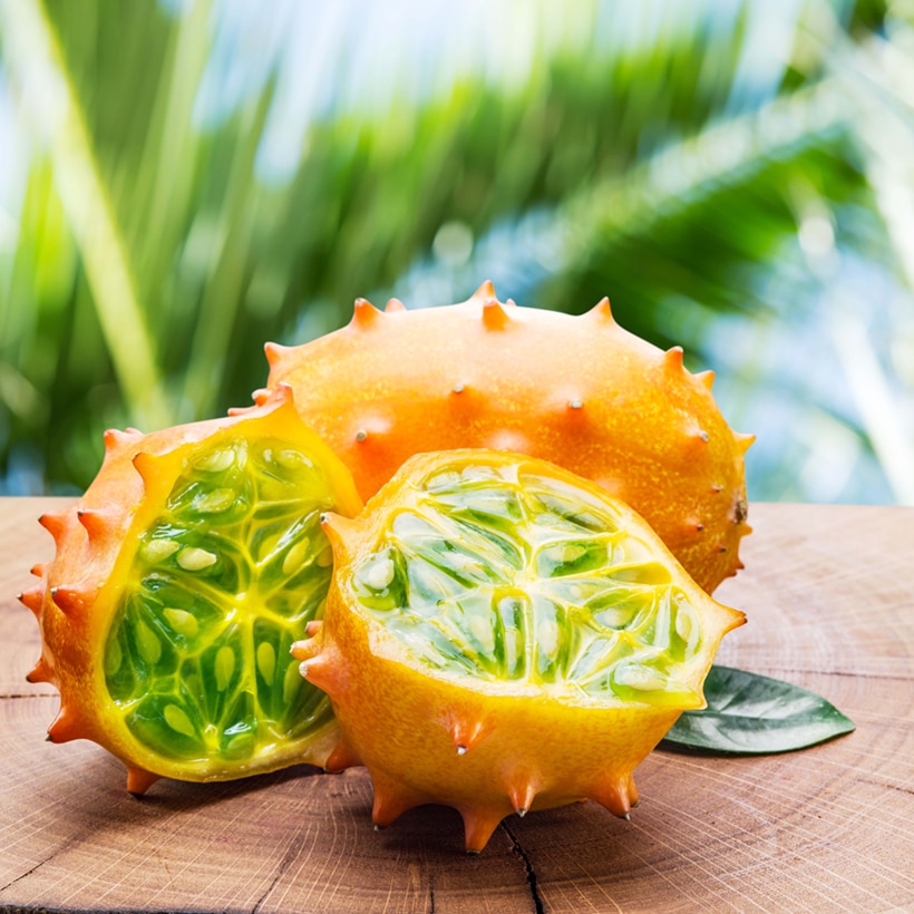 Kiwano Concombre Cornu d Afrique Bio Ferme de Sainte Marthe copyright a 31021 1