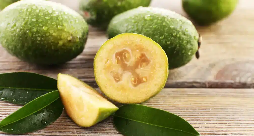 feijoa 234659218